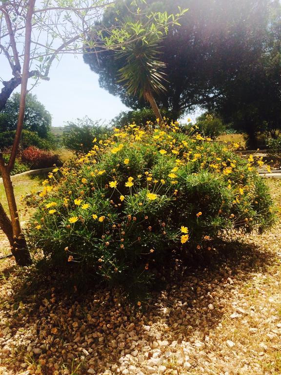 Quinta Do Atlantico Hotel ซานตา บาร์บารา เดอ เนกซ์ ภายนอก รูปภาพ